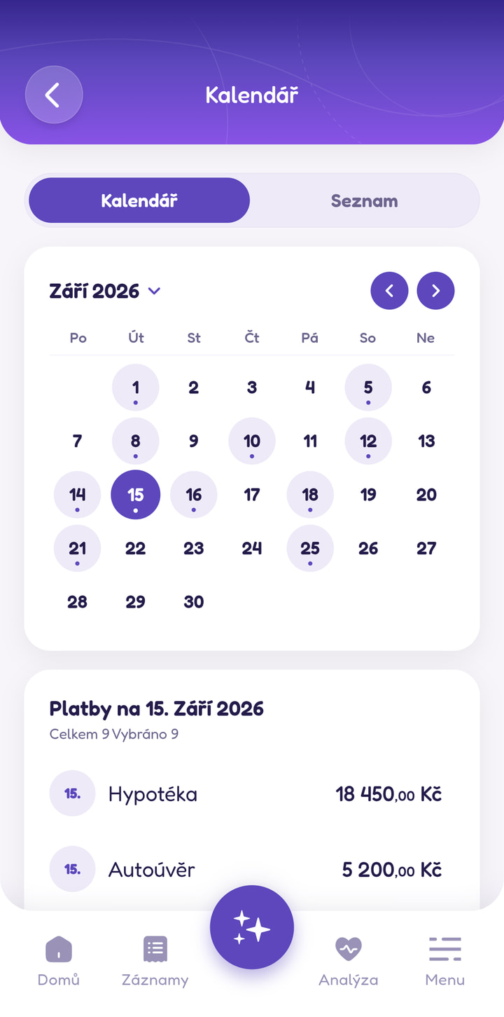 Interaktivní kalendář plateb